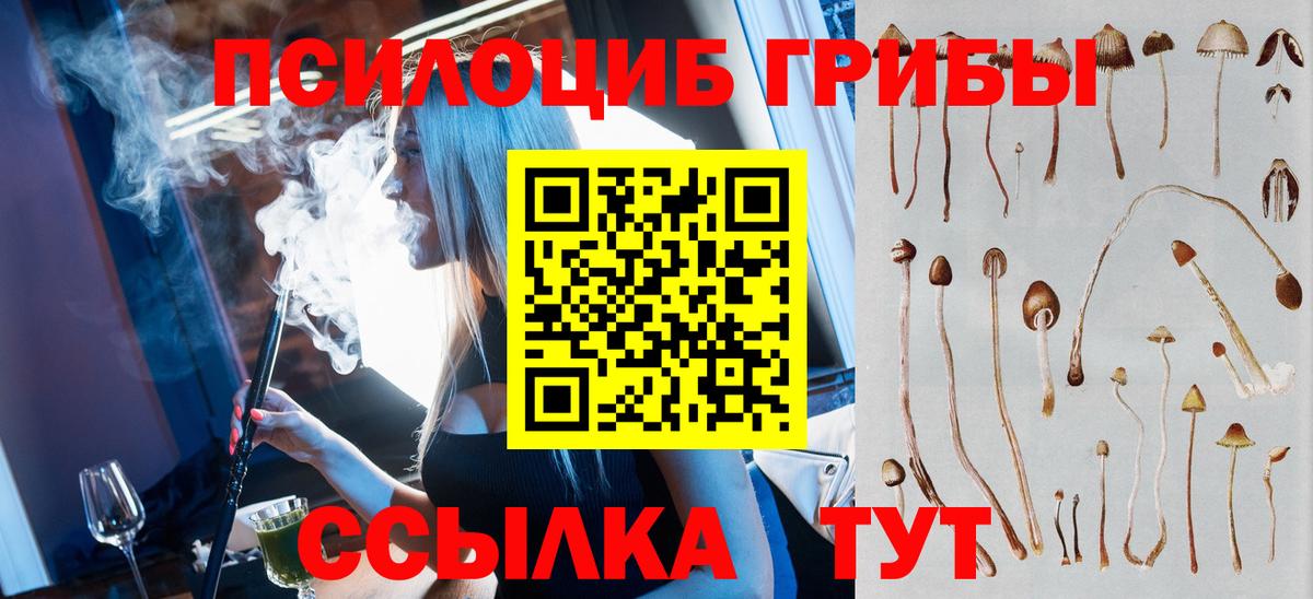 Псилоцибиновые грибы Cubensis Мичуринск