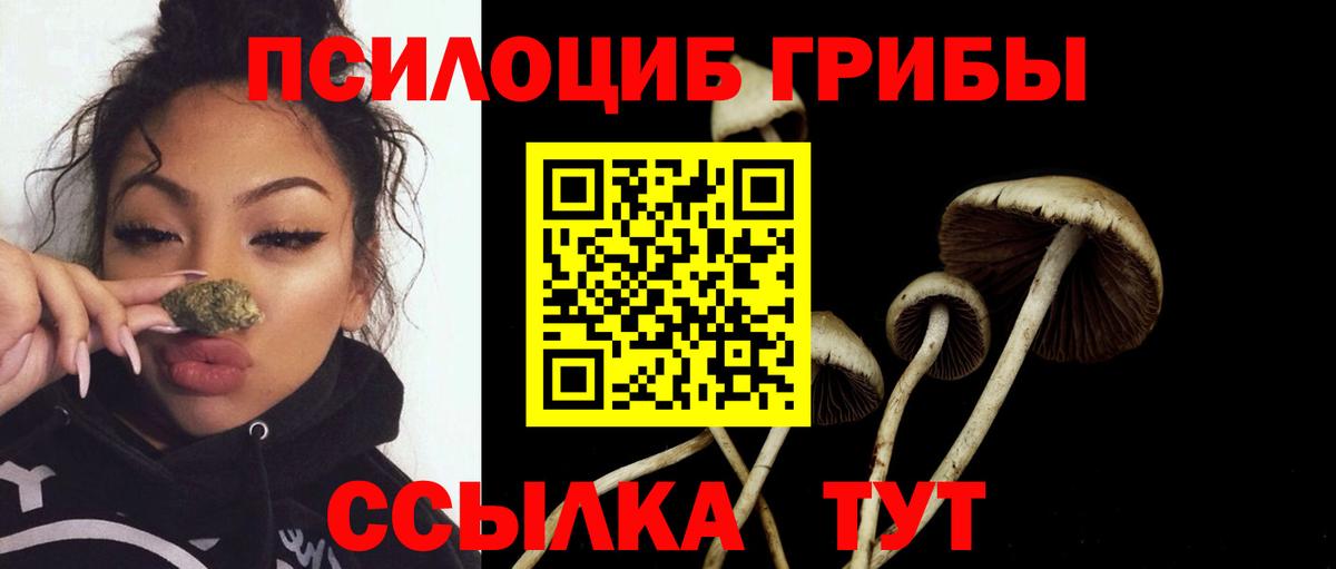 Мичуринск  Галлюциногенные грибы MAGIC MUSHROOMS  Вход с VPN  Галлюциногенные грибы ЛСД 